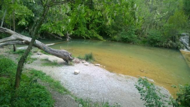 Nell anno 2015, in seguito alla richiesta da parte del Comune di Ascoli Piceno, è stato avviato nel mese di aprile il monitoraggio delle acque del torrente Castellano in questo tratto, per la
