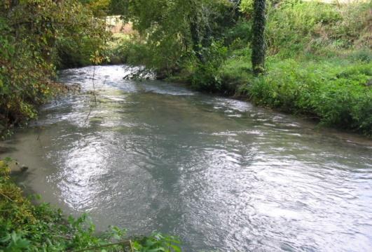 STAZIONE N0103NE La stazione di campionamento è localizzata nella località Ponte Chiusita di Visso, a 470 m s.l.m. In questo tratto il corso d acqua presenta un alveo largo circa 4,6 m, con elevata velocità di corrente ed elevata turbolenza.