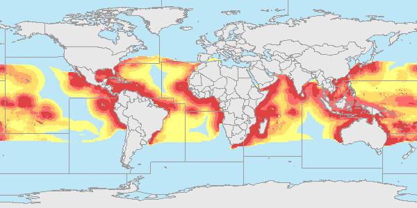 Taglia max: 1,08m Acque tropicali e temperate di tutti gli oceani e