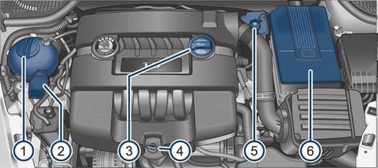 Controlli e rabbocchi 133 Lavori nel vano motore Tutti i lavori nel vano motore richiedono particolare prudenza! Durante i lavori nel vano motore, ad es.