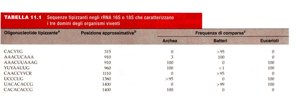 Sequenze tipizzanti