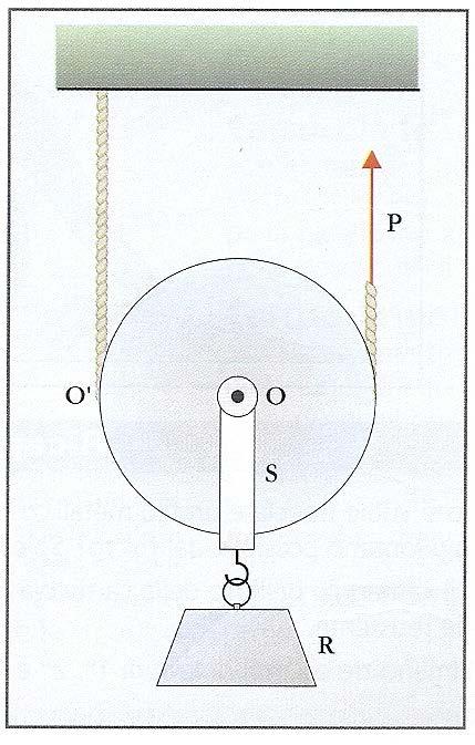 della forza resistente: F = m Fr 2 Carrucola fissa: La forza motrice è