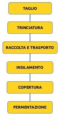 FASI DELL INSILAMENTO Sequenza delle operazioni Epoca ottimale di maturazione del foraggio per l insilamento dipende da: