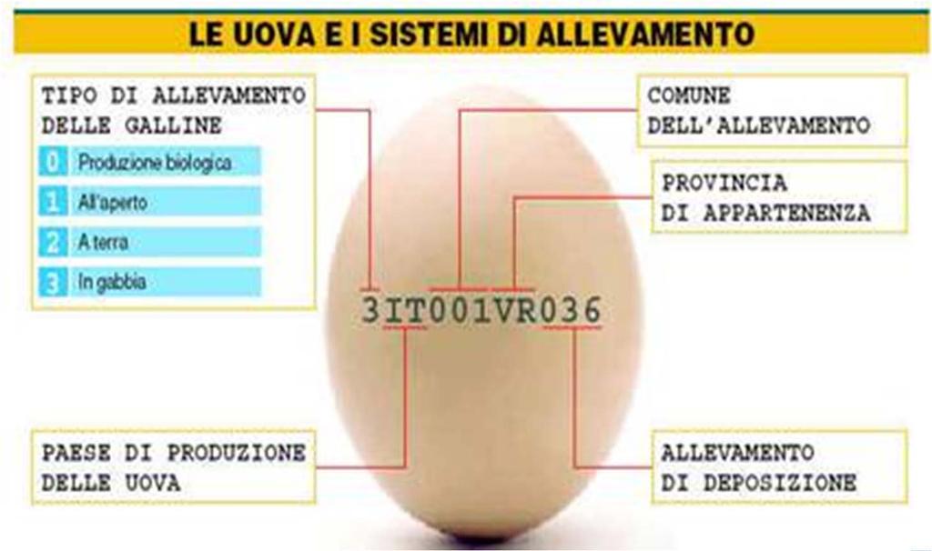 fresche e la dicitura extra per le uova vendute entro il