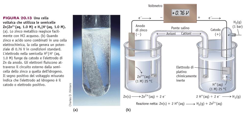 DETERMINAZIONE SPERIMENTALE DI E Es: calcolo di E della semicella standard Zn/Zn 2+ (-) Zn (s) Zn 2+ (aq) + 2 e- E ox = -E rid (+) 2 H + (aq) + 2 e- H 2(g) E ox = -E rid =0 riferimento Zn (s) + 2 H +