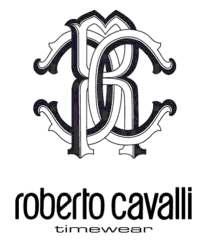 ROBERTO CAVALLI CURVI R7251102065 210,00 Cassa in acciaio