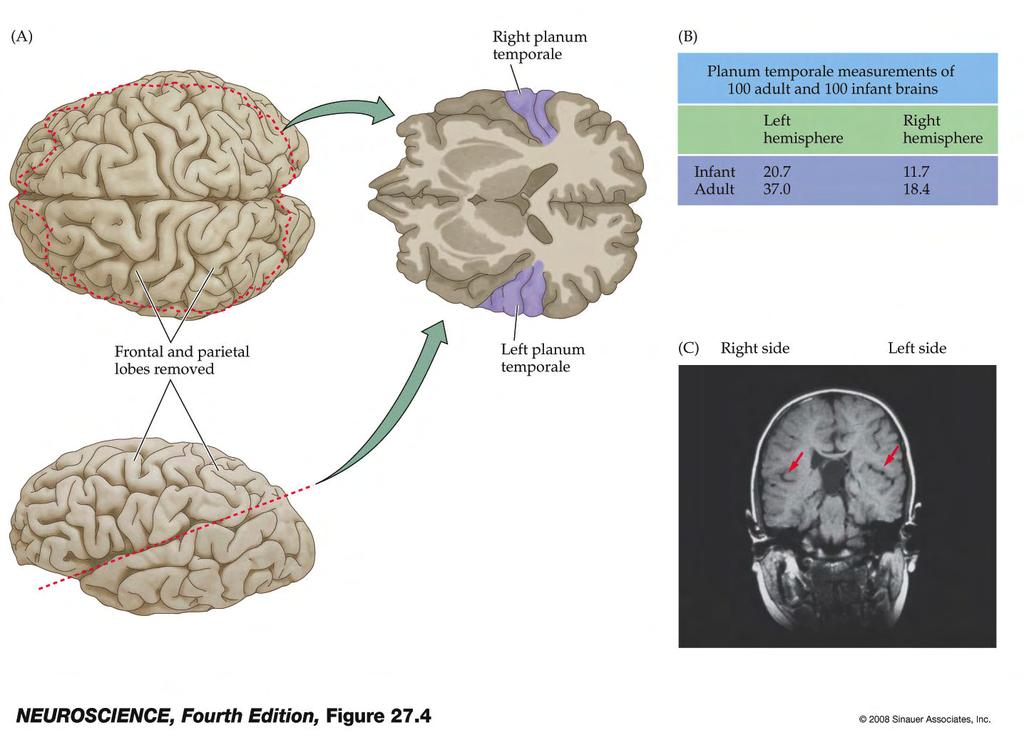 Figure 27.