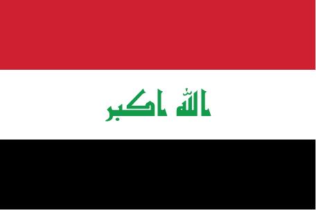 IRAQ Congelamento di fondi delle persone collegate al regime di Saddam Hussein Reg. (CE) 1210/2003 (GU L 169, 8.7.2003) Il Reg.