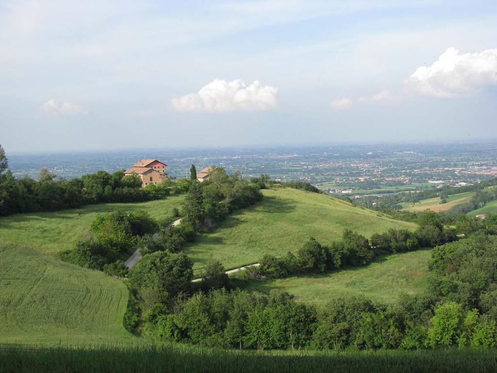 Corso di Laurea in Scienze Naturali Università degli Studi di Modena e Reggio Emilia Accumulo di PGE in sedimenti e polveri