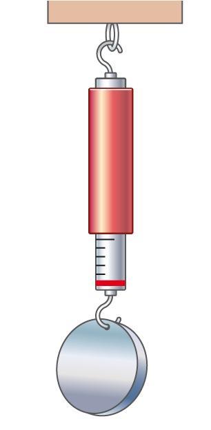 Massa e forza-peso Il modulo F P della forza-peso che agisce su un corpo è direttamente proporzionale alla sua massa m: F P = mg.