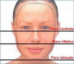 Piani Morfologici e Psichici Il Quadro si suddivide in Piani a cui corrispondono