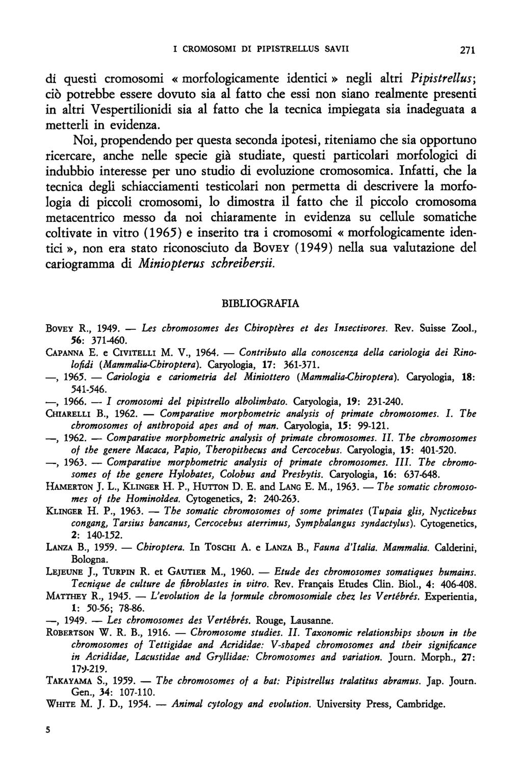 I CROMOSOMI Dl PIPISTRELLUS SAVII 271 di questi cromosomi «morfologicamente identici» negli altri Pipistrellus; cio potrebbe essere dovuto sia al fatto che essi non siano realmente presenti in altri
