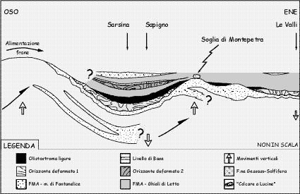 L'analisi (orientamento degli assi e senso di trascinamento) e il trattamento statistico delle strutture consente, con le dovute cautele (vedi Woodcock, 1979), di identificare la provenienza delle