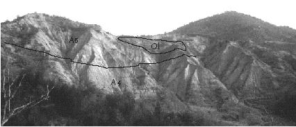 STOP A (OPZIONALE) - FOSSO DELLE PIAGGE - ASSOCIAZIONE SLUMP-OLISTOSTROMA Affioramento di Ghioli ben stratificati (A 4 ) su cui poggia il secondo orizzonte deformato spesso ca, 50 metri (A 5 ).