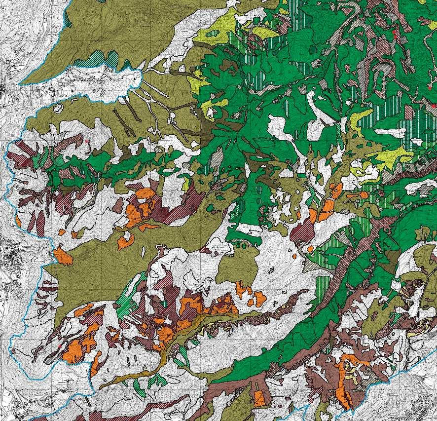 Gli habitat del SIC Valsedornia-Valzurio-Pizzo