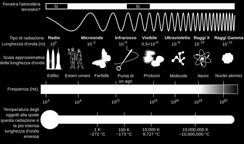 Onde Radio Microonde Infrarosso Luce Ultravioletto Raggi X Raggi Gamma 10 8 10 11 10 14 10 15 10 16 10 22 I valori numerici in basso rappresentano le frequenze misurate in Hz.