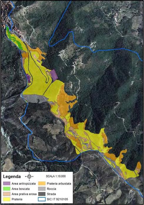 SIC IT 9210105: Dolomiti di Pietrapetrosa Di seguito si riportano due mappe in cui è possibile vedere gli habitat riscontrati nella Zona A (Località Costa Cervitale) e nella Zona B (Località Monte