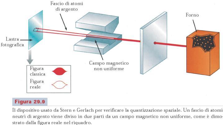 Spin Elettronico Stern e Gerlach: campo magnetico disuniforme Una possibile (ma
