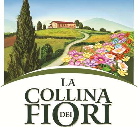 La collina dei fiori DESCRIZIONE 970262820 QUINOA BIO 300G 6,50 3,58 970262996 SEMI DI CHIA BIO 200 G 7,90 4,35