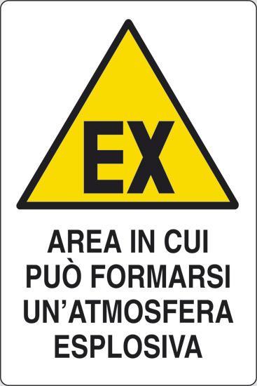 Le linee guida che fornisce (allegato E) si rivolgono quindi in modo specifico ai DAE posizionati nei luoghi sportivi; tuttavia possiamo ritenere che, per estensione, in assenza di altre indicazioni