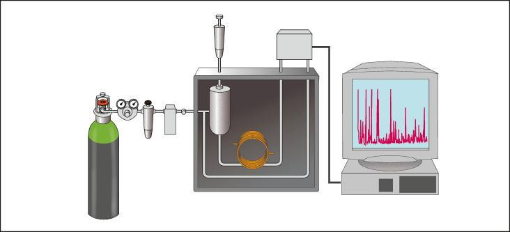 Capitolo La struttura della materia: miscugli e sostanze Le più moderne tecniche cromatografiche, realizzate mediante complesse apparecchiature, sono la gascromatografia, che utilizza come solvente