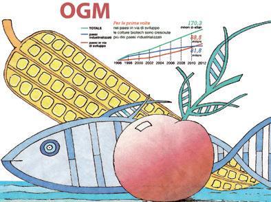 Alimenti OGM I prodotti OGM più coltivati al mondo sono: soia (82% OGM); cotone