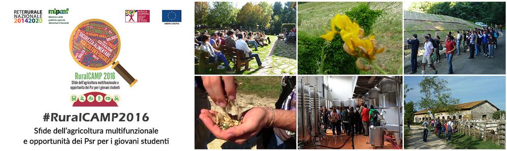 RURALCAMP 2014-15 DI #RURALAND e 1 Ministero delle politiche agricole, alimentari e forestali Ministero dell Istruzione e