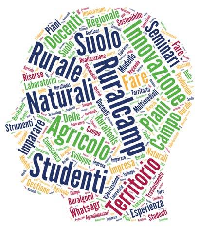 COS E #RURAL4LEARNING 1 Una progetto che offre formazione gratuita, orientamento e consulenza sui temi 1 dell agricoltura e dello sviluppo