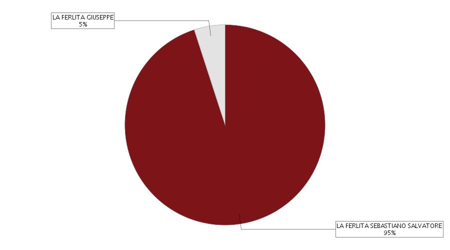 Il grafico a torta e la tabella sottostante rappresentano una sintesi della composizione societaria dell'impresa (le quote di proprietà sono sommate per titolare e poi arrotondate).