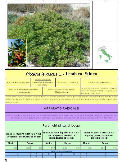 I criteri di progettazione e di sistemazione dei versanti tramite specie arbustive non possono prescindere, nella loro applicazione, da una conoscenza approfondita dei meccanismi di natura biotecnica