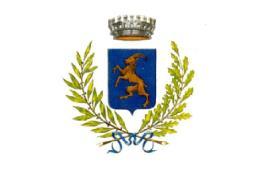 COMUNE DI MONTICIANO Provincia di Siena Area Amministrativa Bando per l assegnazione dei contributi ad integrazione dei canoni di locazione per l anno 2013 Il Responsabile dell Area Premesso che: - l