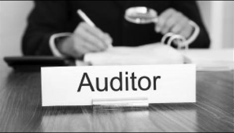 GRUPPO DI AUDIT (audit team) -> Considerare il tipo di audit ( combinato o congiunto), le competenze necessarie, la lingua.