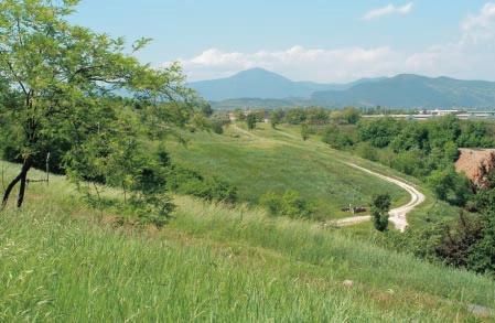 QUADERNO dell OSSERVATORIO PROVINCIA DI BRESCIA Assessorato all Ambiente, Ecologia, Attività estrattive, Energia