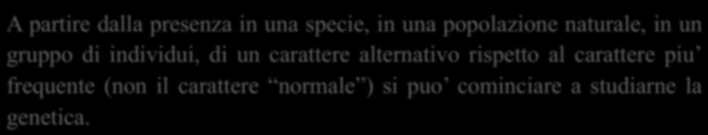 carattere normale ) si puo cominciare a studiarne la genetica.