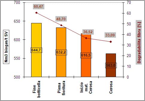 Esempio applicazione BMP Produzione biogas da insilato di frumento raccolto in diverse epoche fenologiche SS [%] NDF [%SS] ADF [%SS] ADL [%SS] ADL/NDF [%] dndf [%NDF] Amido [%SS] Epoca 1 18,91 51,74
