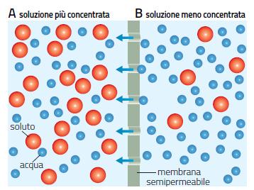 identificare Le proprietà colligative Le proprietà colligative delle soluzioni dipendono esclusivamente dal rapporto numerico tra le particelle di soluto e quelle di solvente.