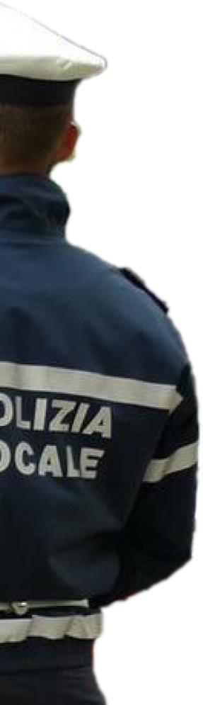 POLIZIA DI PROSSIMITÀ Attività di polizia di prossimità Anno 206 N. ore Servizi per il controllo dei centri abitati e polizia di prossimità 8.462 Servizi a supporto degli uffici comunali.