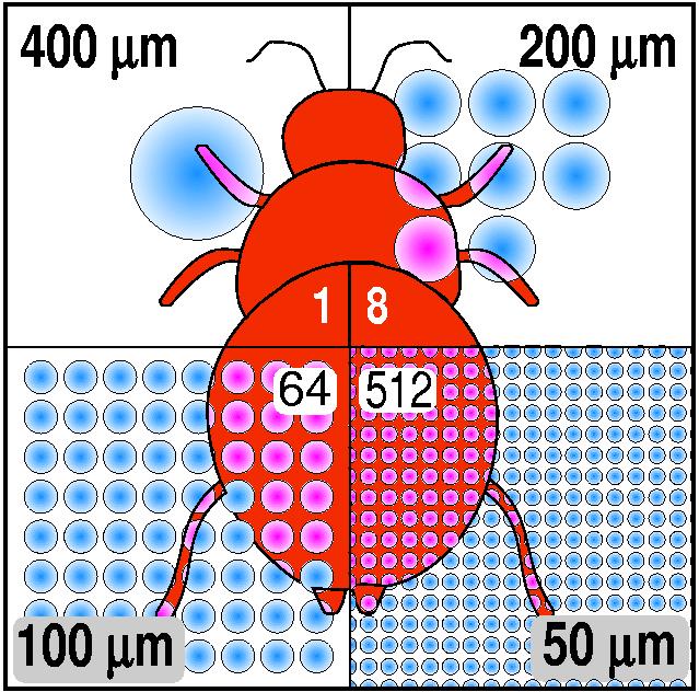 LA DIMENSIONE DELLE GOCCE