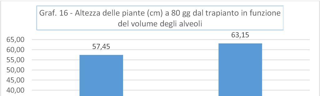 6 Altezza delle piante (cm) a 8 gg dal trapianto Interventi fertilizzanti Media alveoli Dimensione