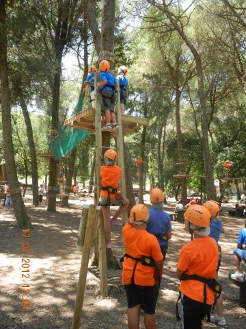 Adatti a bambini e ragazzi dagli 8 anni in su e da 120 cm di altezza: qui l aspetto prevalente è rappresentato dalle attività che i ragazzi svolgono sui percorsi acrobatici tra gli alberi, dove l