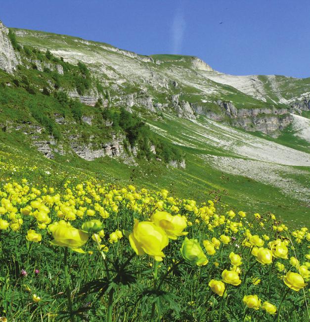 PROGETTO 3 CHIAVE TURISMO SOSTENIBILE NELLE DOLOMITI UNESCO #TurismoUNESCO TERRITORIO INTERESSATO FINALITÀ Comuni in Dolomiti UNESCO.