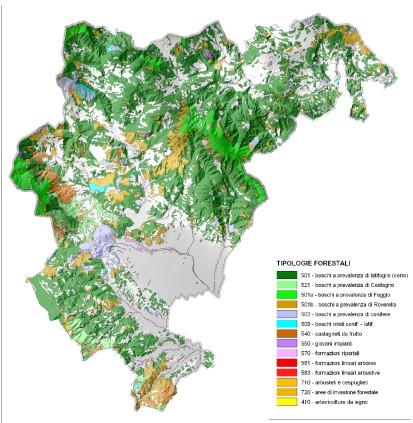 Territori forestali -