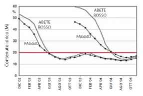 Andamento del contenuto idrico (M) nella legna spaccata di faggio e abete, stagionata all aria e sotto copertura Nel caso della legna da ardere si possono impiegare strumenti ad