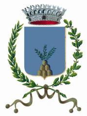 Acc. 960/2017 CITTA DI FARA IN SABINA Provincia di Rieti COPIA N. Registro Generale 462 del 30.03.