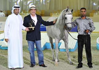 PARK CHICAGO 1 st place stallions owner: AL ARYAM ARABIANS ALAMO