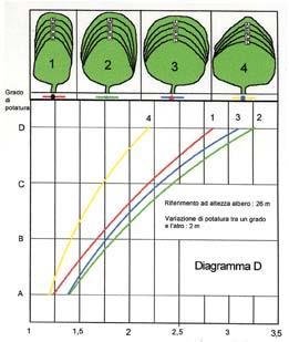 La chioma Lo stato della chioma ci permette di valutare la condizione fisiologica generale: a. Ritardo vegetativo b. Accrescimenti limitati c.