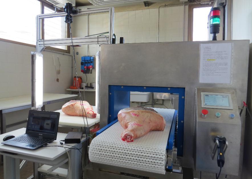 ProCured Risultati Ottimizzazione e calibrazione delle tecnologie per la monitorizzazzione delle proprietà della carne Classificazione della carne fresca Peso