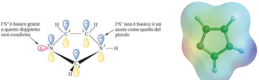 ACIDO FOLICO (VITAMINA B9) Pteridina PABA ac.