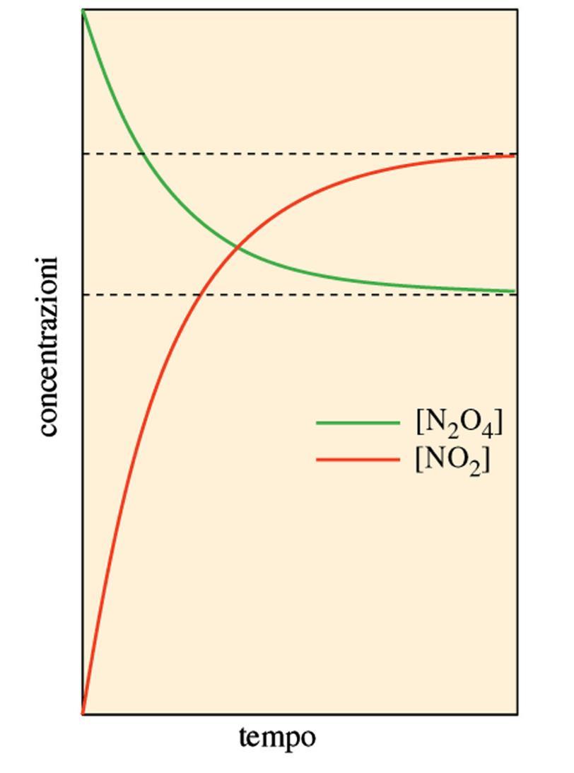 La velocità di reazione Se si considera, ad esempio, la reazione: N 2 O 4 (g) 2NO 2 (g) Supponendo di introdurre in un recipiente chiuso solo N 2 O 4 (g), questo reagente si dissocia producendo NO 2