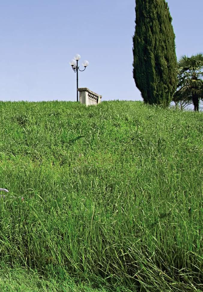 Garanzia e Servizio Ricambi Macchine garantite. Disponibilità ricambi in tempi rapidi, anche per modelli con oltre 30 anni di vita: un valore garantito nel tempo.